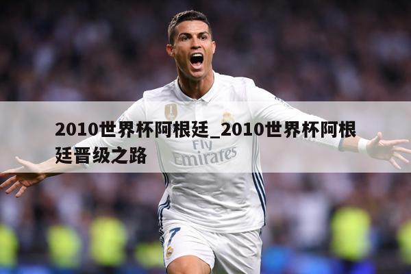 2010世界杯阿根廷_2010世界杯阿根廷晋级之路